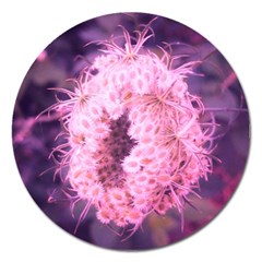 Pink Closing Queen Annes Lace Magnet 5  (round) by okhismakingart