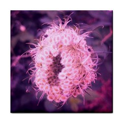 Pink Closing Queen Annes Lace Face Towel by okhismakingart