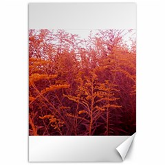 Red Goldenrod Canvas 20  X 30  by okhismakingart