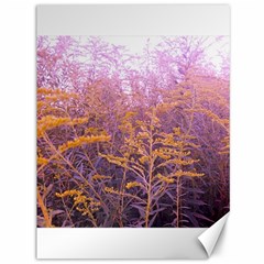 Pink Goldenrod Canvas 36  X 48  by okhismakingart