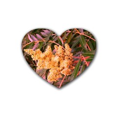 Pale Yellow And Green Sideways Sumac Heart Coaster (4 Pack) 