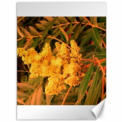 Yellow Sideways Sumac Canvas 36  X 48  by okhismakingart