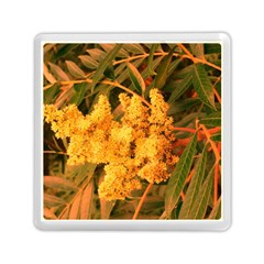 Yellow Sideways Sumac Memory Card Reader (square) by okhismakingart