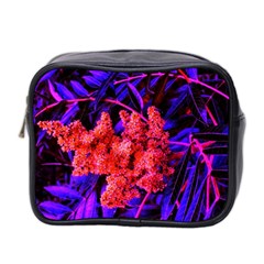 Red And Blue Sideways Sumac Mini Toiletries Bag (two Sides)