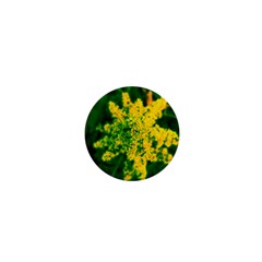 Yellow Sumac Bloom 1  Mini Magnets