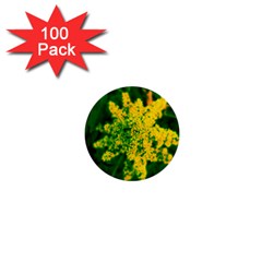 Yellow Sumac Bloom 1  Mini Buttons (100 pack) 