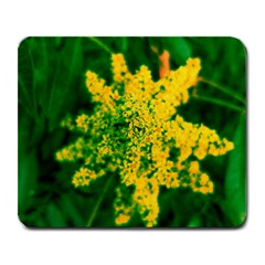 Yellow Sumac Bloom Large Mousepads