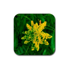 Yellow Sumac Bloom Rubber Coaster (Square) 