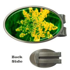 Yellow Sumac Bloom Money Clips (Oval) 