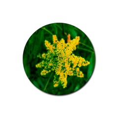 Yellow Sumac Bloom Rubber Coaster (round) 