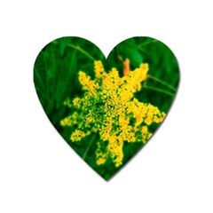 Yellow Sumac Bloom Heart Magnet