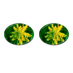 Yellow Sumac Bloom Cufflinks (Oval)