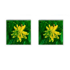 Yellow Sumac Bloom Cufflinks (Square)