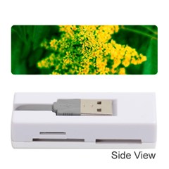 Yellow Sumac Bloom Memory Card Reader (Stick)