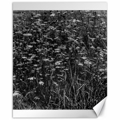 Black And White Queen Anne s Lace Hillside Canvas 16  X 20  by okhismakingart