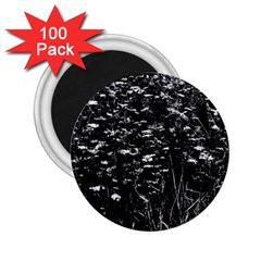 High Contrast Black And White Queen Anne s Lace Hillside 2 25  Magnets (100 Pack)  by okhismakingart