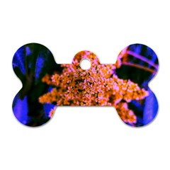Yellow, Pink, And Blue Sumac Bloom Dog Tag Bone (one Side)