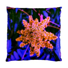 Yellow, Pink, And Blue Sumac Bloom Standard Cushion Case (two Sides) by okhismakingart