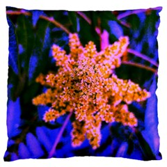 Yellow, Pink, And Blue Sumac Bloom Large Flano Cushion Case (one Side) by okhismakingart