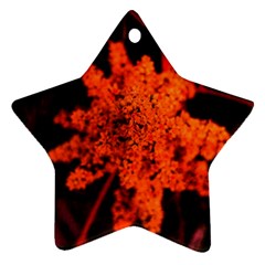 Orange Sumac Bloom Star Ornament (two Sides) by okhismakingart