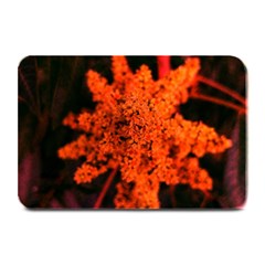 Orange Sumac Bloom Plate Mats by okhismakingart