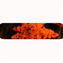 Orange Sumac Bloom Large Bar Mats by okhismakingart