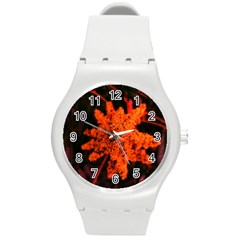 Orange Sumac Bloom Round Plastic Sport Watch (m)
