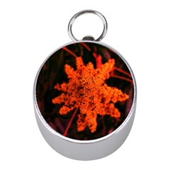 Orange Sumac Bloom Mini Silver Compasses by okhismakingart