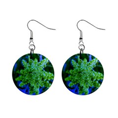 Lime Green Sumac Bloom Mini Button Earrings by okhismakingart