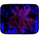 Maroon and Blue Sumac Bloom Double Sided Fleece Blanket (Mini)  35 x27  Blanket Back