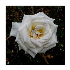 White Angular Rose Tile Coasters by okhismakingart