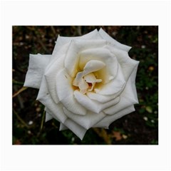 White Angular Rose Small Glasses Cloth (2-side) by okhismakingart