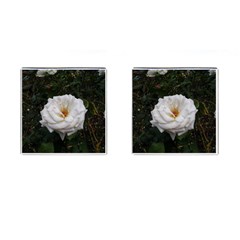 White Smooth Rose Cufflinks (square) by okhismakingart