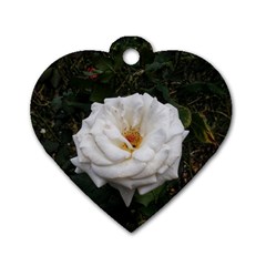 White Smooth Rose Dog Tag Heart (one Side) by okhismakingart