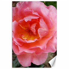 Pink Rose Canvas 24  X 36  by okhismakingart