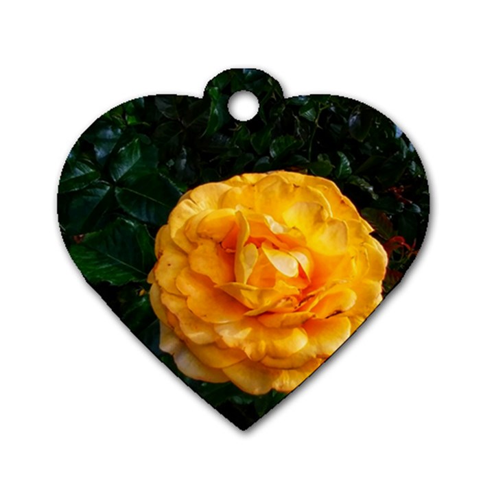 Yellow Rose Dog Tag Heart (One Side)