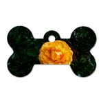 Yellow Rose Dog Tag Bone (Two Sides) Front