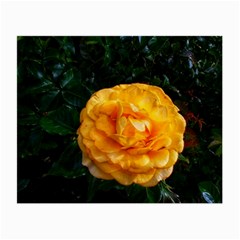 Yellow Rose Small Glasses Cloth (2-Side)