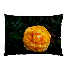Yellow Rose Pillow Case