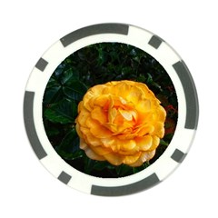 Yellow Rose Poker Chip Card Guard (10 pack)