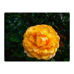 Yellow Rose Double Sided Flano Blanket (Mini) 