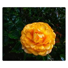 Yellow Rose Double Sided Flano Blanket (Small) 