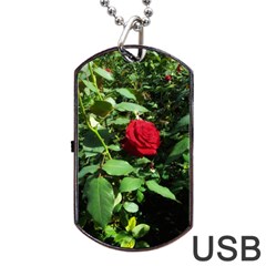 Deep Red Rose Dog Tag Usb Flash (two Sides)