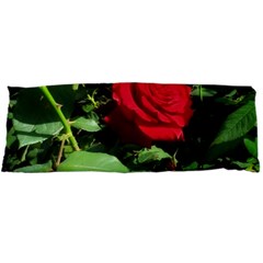 Deep Red Rose Body Pillow Case Dakimakura (two Sides) by okhismakingart