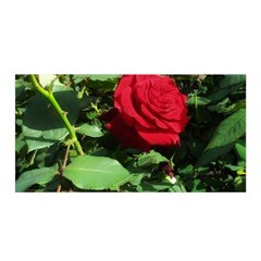 Deep Red Rose Satin Wrap by okhismakingart