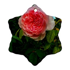 Complex Pink Rose Ornament (snowflake) by okhismakingart