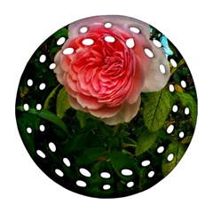 Complex Pink Rose Round Filigree Ornament (two Sides) by okhismakingart