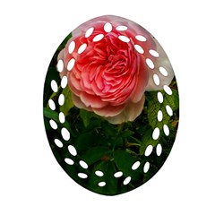 Complex Pink Rose Ornament (oval Filigree) by okhismakingart