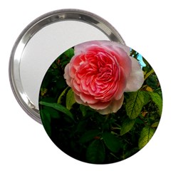 Complex Pink Rose 3  Handbag Mirrors by okhismakingart