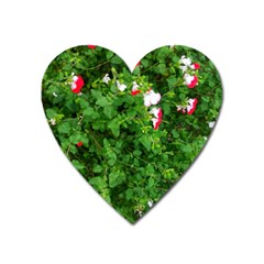 Red And White Park Flowers Heart Magnet by okhismakingart